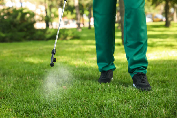 Best Pest Control Treatment  in Brownsville, OR